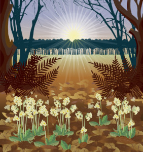 Feldenkrais Wetter – sanfte Hilfe bei Schmerzen, Stress und Bewegungseinschränkungen